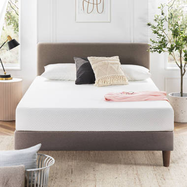 Wayfair Sleep 10